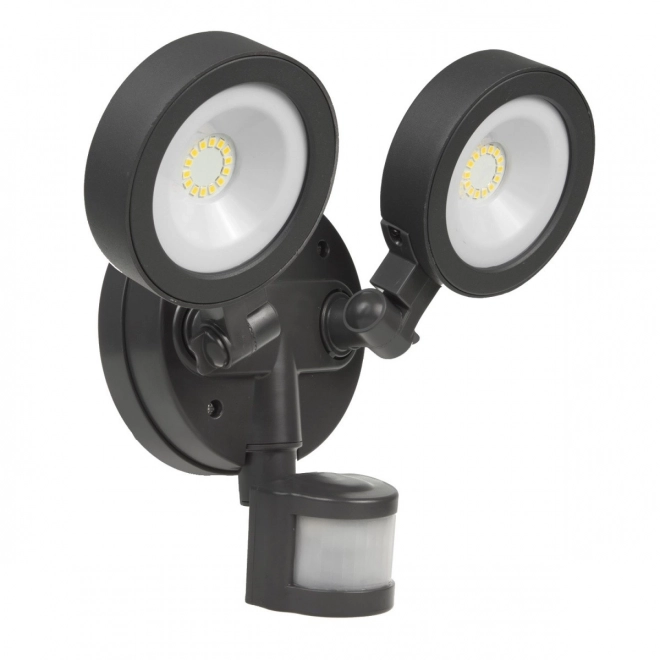 Wall LED Light with Motion Sensor