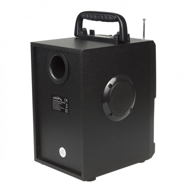 Bluetooth Speaker with Radio and USB Audiocore