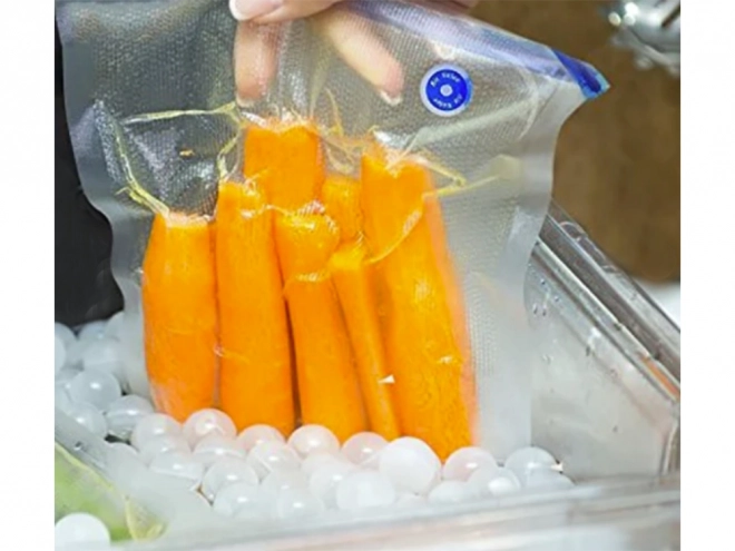 Electric Vacuum Food Pump