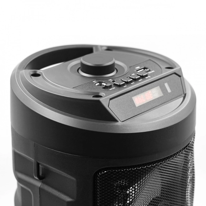 Bluetooth Speaker Harmony with Karaoke Function
