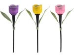 Solar garden tulip lamp with LED, mixed colors
