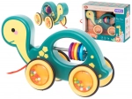 Sensory Pull Toy Turtle