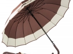 Large Elegant Government Umbrella