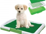 Dog Training Potty Pad