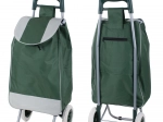 Sturdy Green Shopping Bag on Wheels