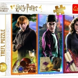 Puzzle HARRY POTTER 200 pièces dans le monde de la magie et des sortilèges
