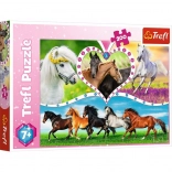 Puzzel 200 stukjes prachtige paarden TREFL