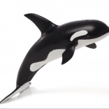 Mojo Deluxe Schwertwal