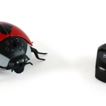 Magana lieveheersbeestje met afstandsbediening