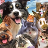 Educa Puzzle zabavne selfie 500 kosov