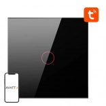 Smart ZigBee Light Switch Avatto 1 Button Black