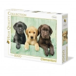 Puzzle 1000 pièces Trois Labradors