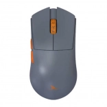 Siva