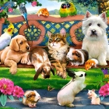 Puzzel 180 stukjes – Huisdiertjes in het park
