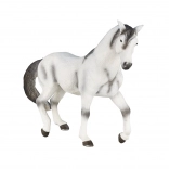 Realistic Andalusian Horse Model Grey